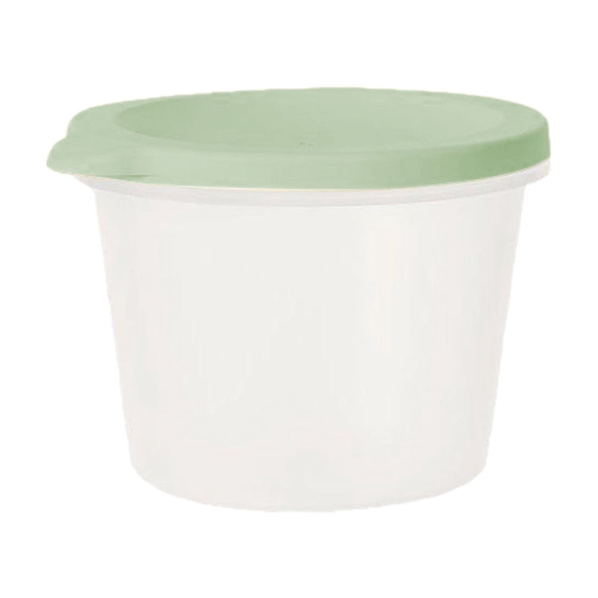 Small Green Snack and Fruit Box with Secure Lid, Portable Leak-Resistant Container for Lunches